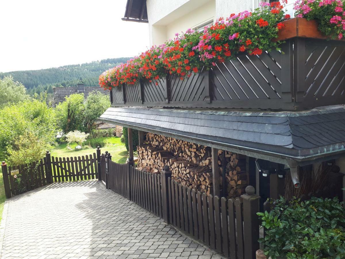 Ferienwohnungen Luge - Winterberg Exteriér fotografie
