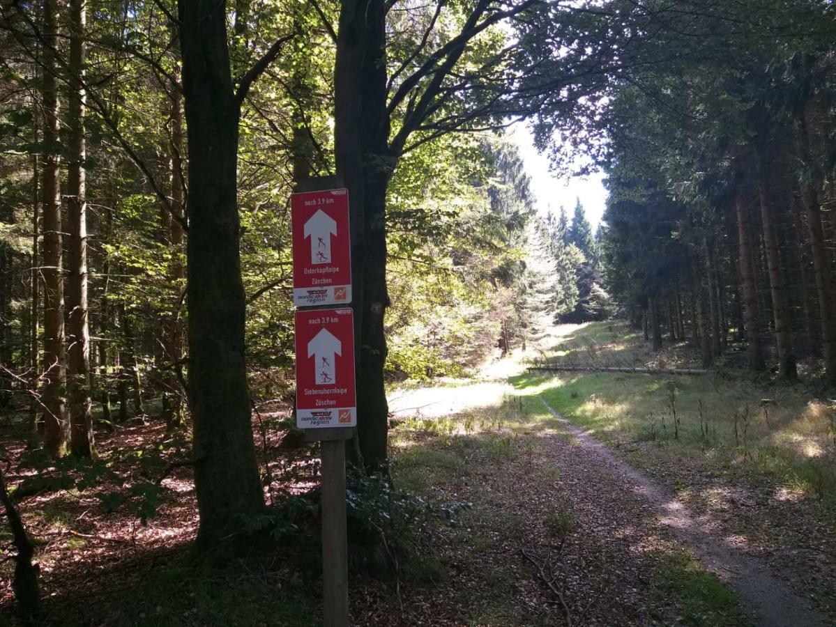 Ferienwohnungen Luge - Winterberg Exteriér fotografie