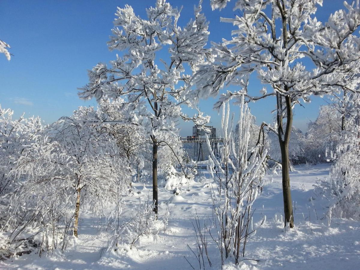 Ferienwohnungen Luge - Winterberg Pokoj fotografie