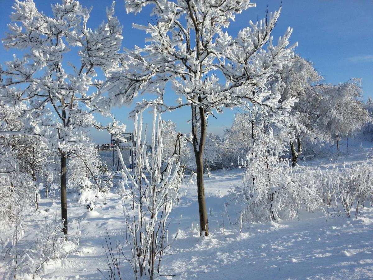 Ferienwohnungen Luge - Winterberg Pokoj fotografie