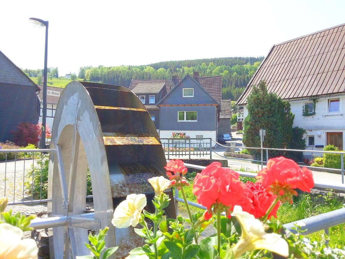 Ferienwohnungen Luge - Winterberg Pokoj fotografie